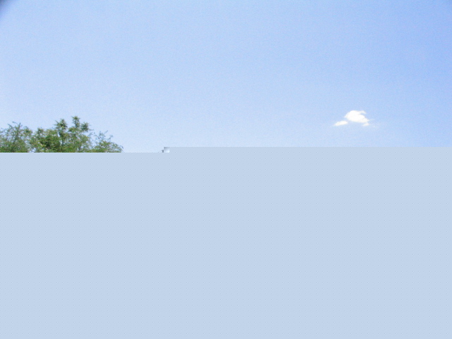 618x457 pixels (175K)